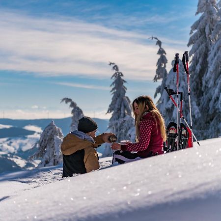 Schwarzwaldhorst 1 Fuer 8 Gaeste In Todtnau, Liftverbund Feldberg Kültér fotó