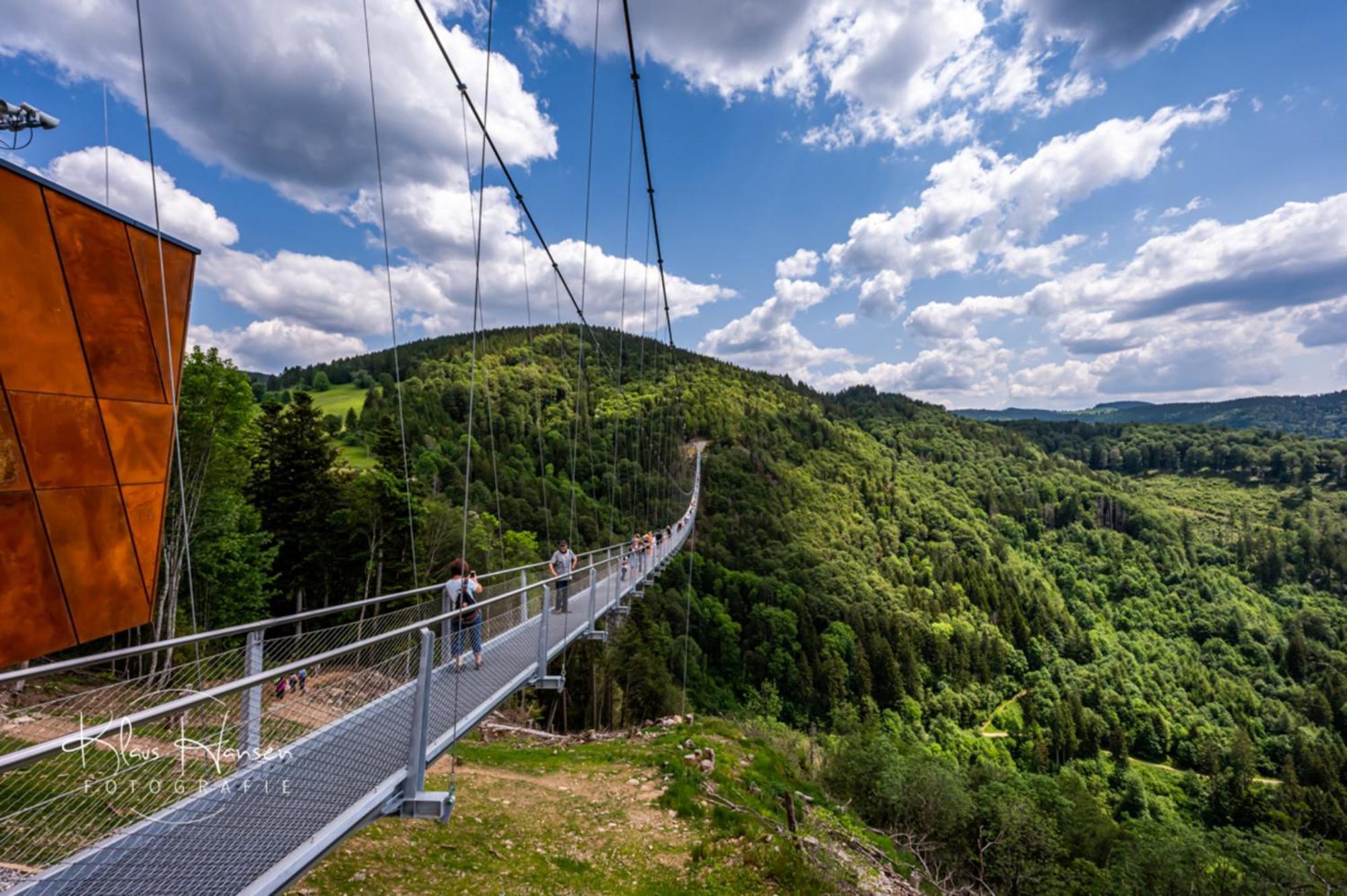 Schwarzwaldhorst 1 Fuer 8 Gaeste In Todtnau, Liftverbund Feldberg Kültér fotó